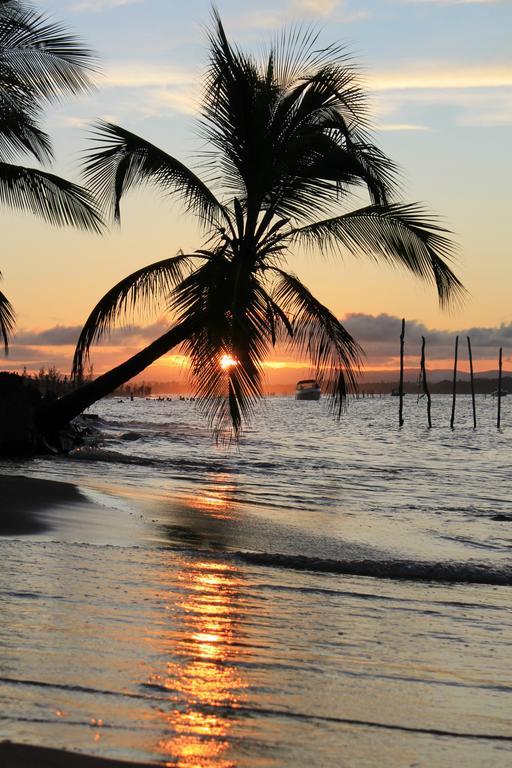 Pousada Das Roseiras Barra Grande  Eksteriør billede